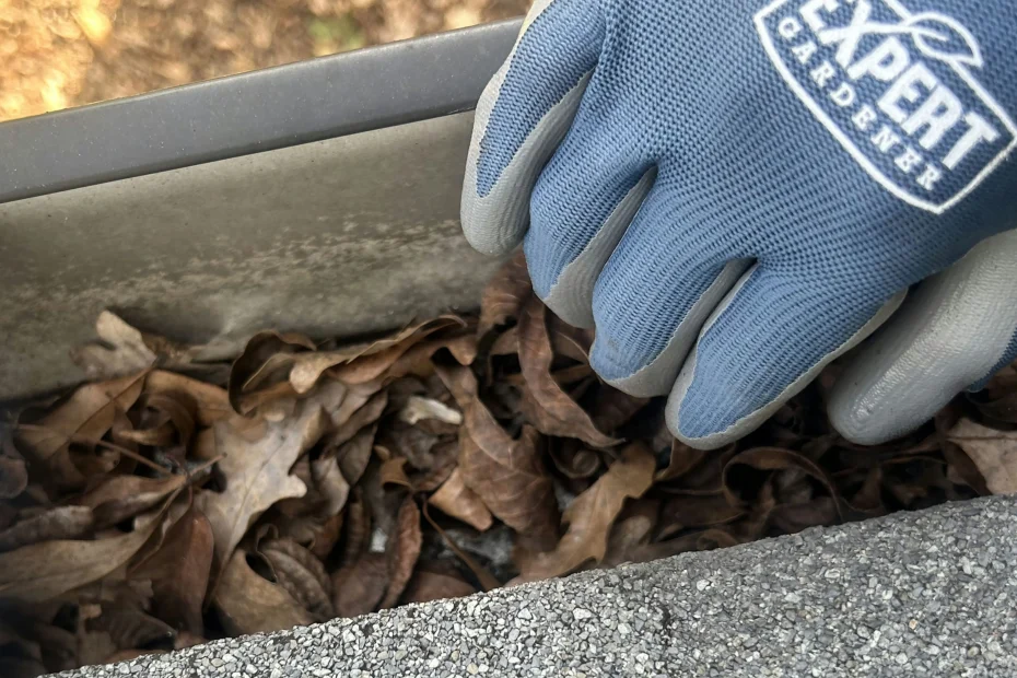 Gutter Cleaning Norwood