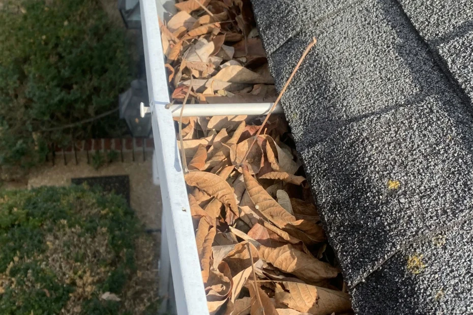 Gutter Cleaning Norwood